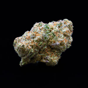 Island Sweet Skunk