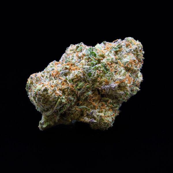 Island Sweet Skunk