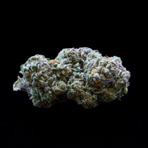 Papaya
